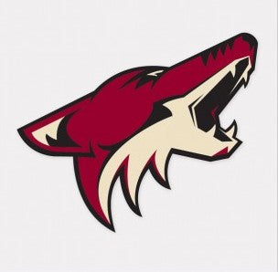 NHL Decals